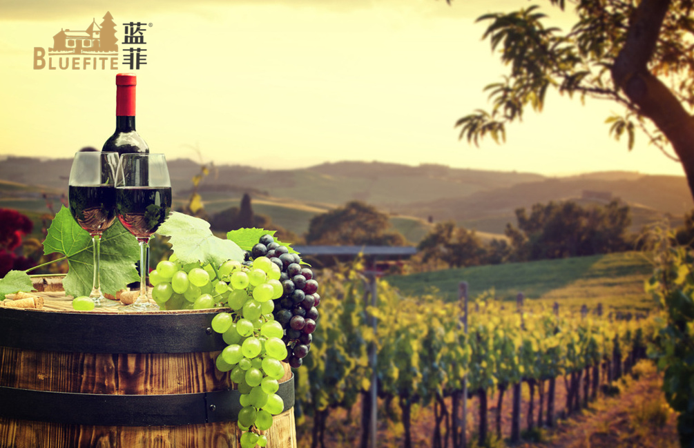葡萄酒產(chǎn)業(yè)升級(jí),提高葡萄酒安全質(zhì)量是關(guān)鍵